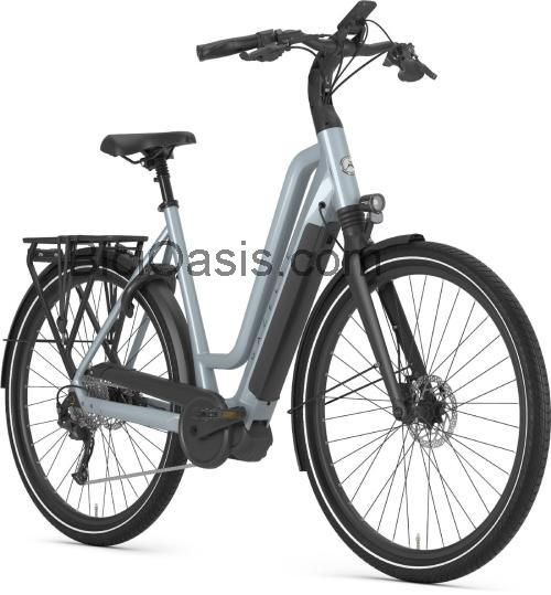 Gazelle Chamonix T10 ficha técnica y opiniones